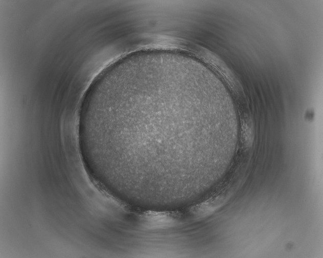 X0000116770534201001281635