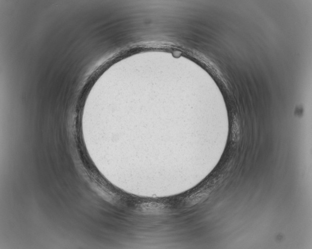X0000116770535201001281635