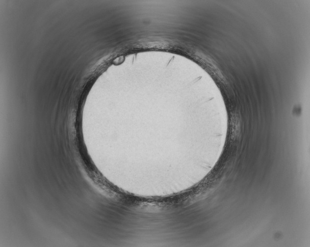 X0000116770538201001281635