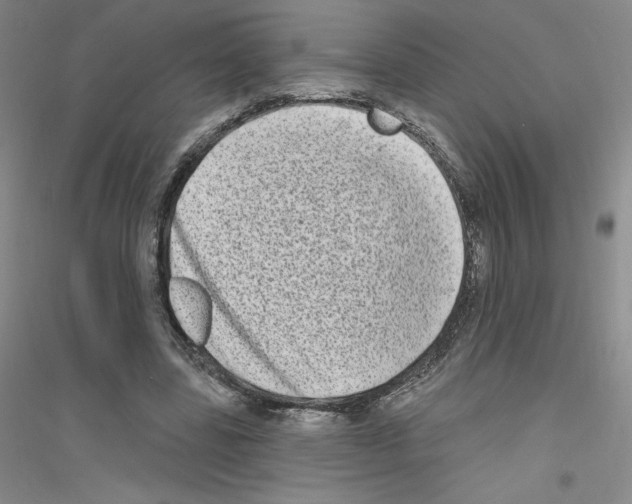 X0000116770539201001281635