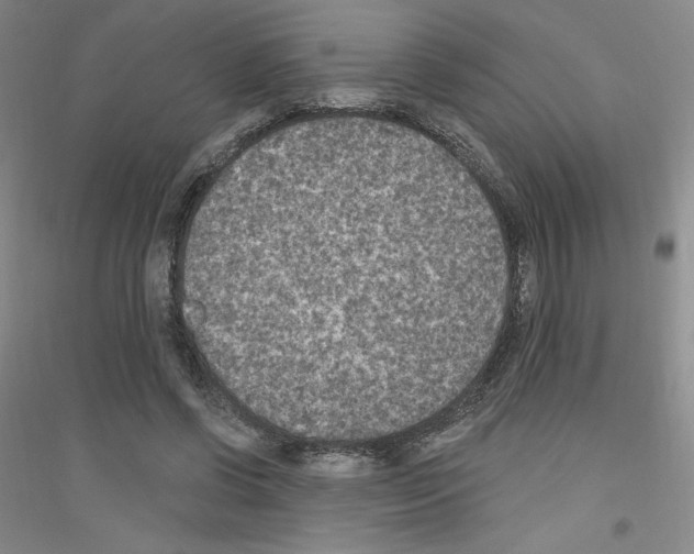 X0000116770542201001281635