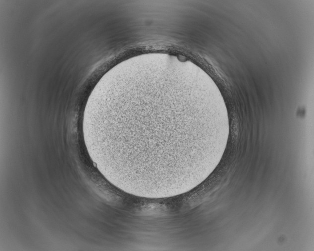 X0000116770543201001281635