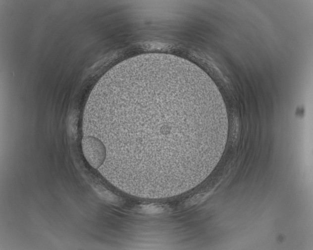 X0000116770545201001281635