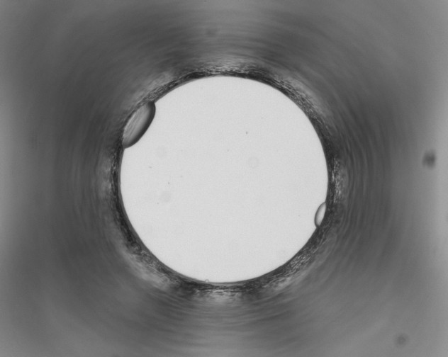 X0000116770546201001281635
