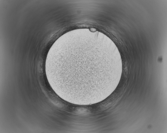X0000116770547201001281635