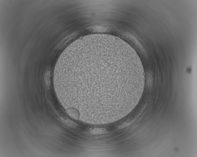 X0000116770549201001281635