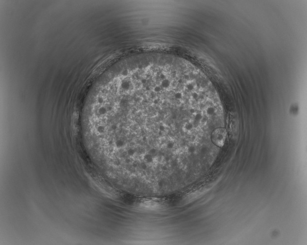 X0000116770550201001281635