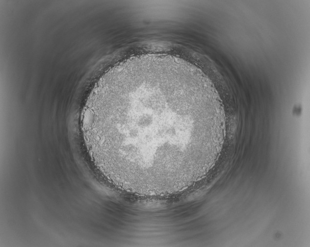 X0000116770553201001281635