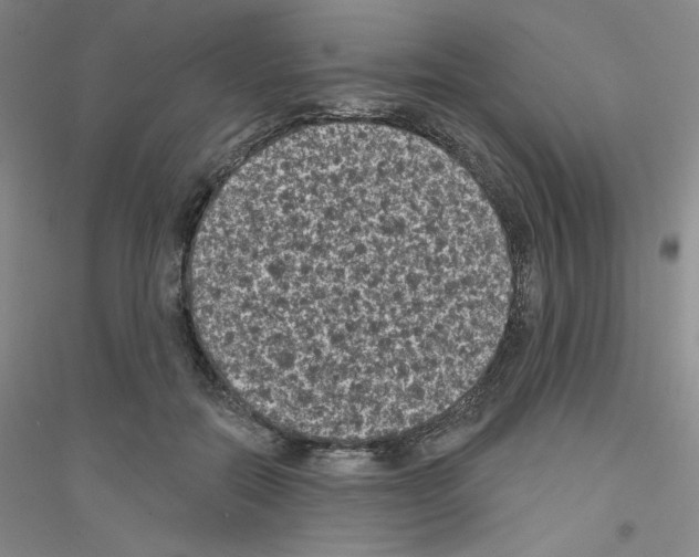 X0000116770554201001281635