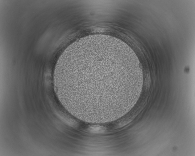 X0000116770557201001281635