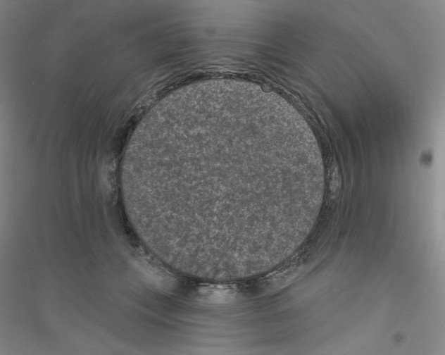 X0000116770559201001281635