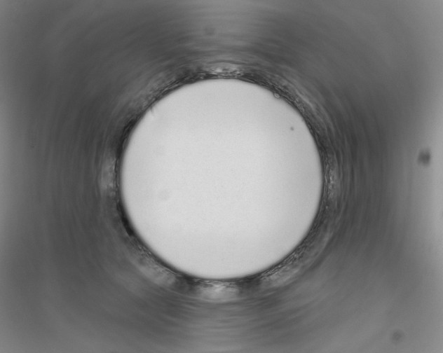 X0000116770561201001281635