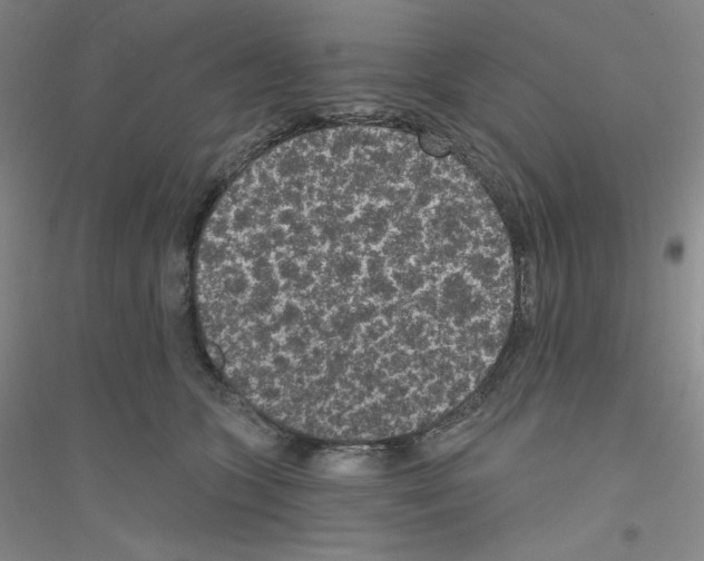 X0000116770563201001281635