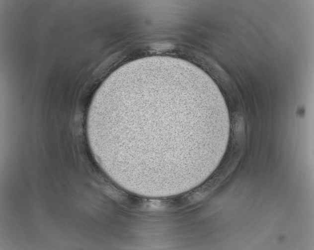 X0000116770565201001281635