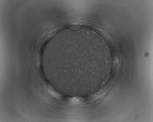 X0000116770566201001281635