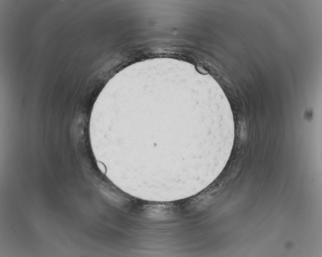 X0000116770567201001281635