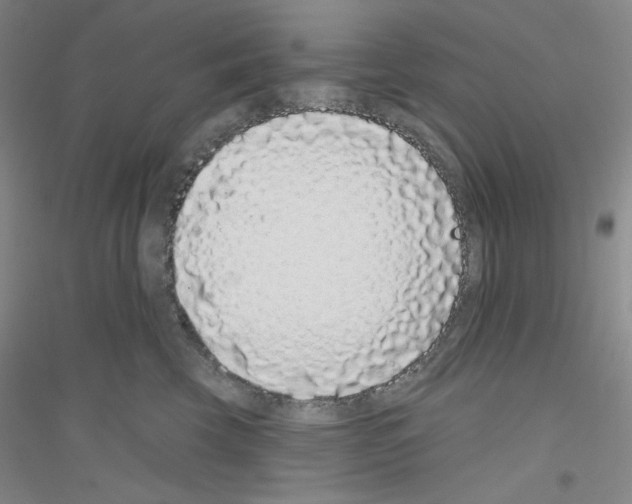 X0000116770569201001281635