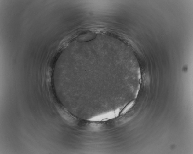 X0000116770570201001281635