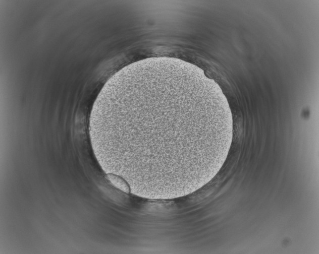 X0000116770571201001281635