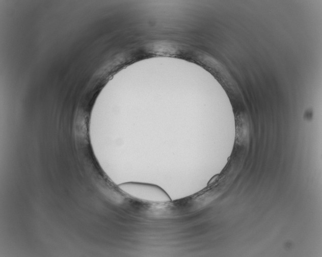X0000116770573201001281635
