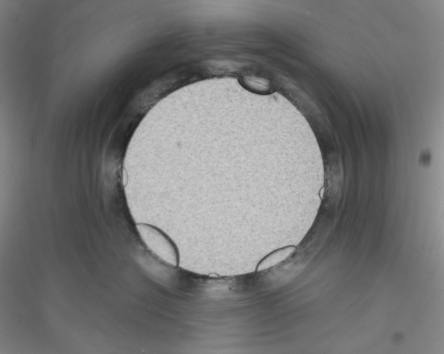 X0000116770574201001281635