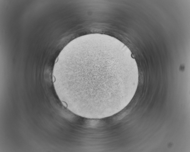 X0000116770575201001281635