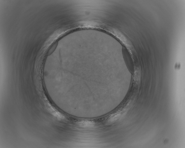 X0000116770577201001281635