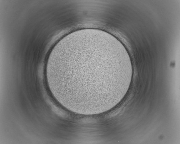 X0000116770578201001281635