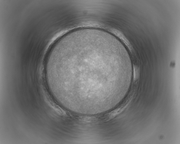 X0000116770579201001281634