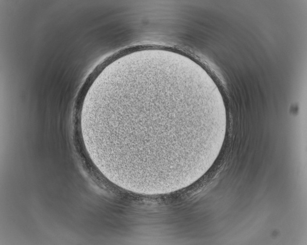 X0000116770580201001281634
