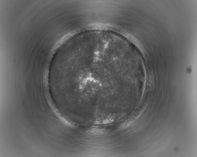 X0000116770581201001281634