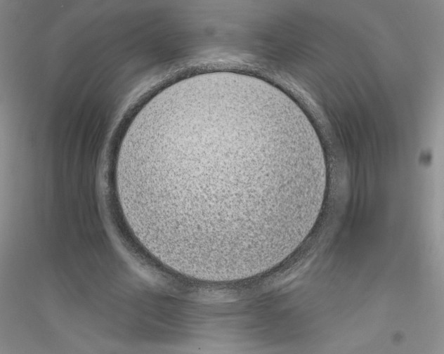 X0000116770582201001281634