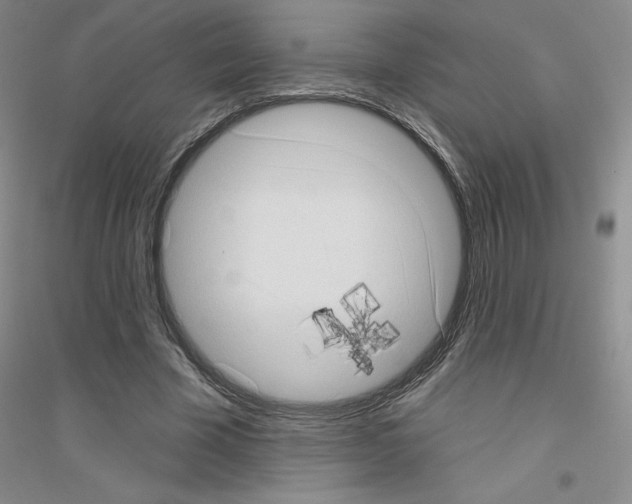 X0000116770585201001281634