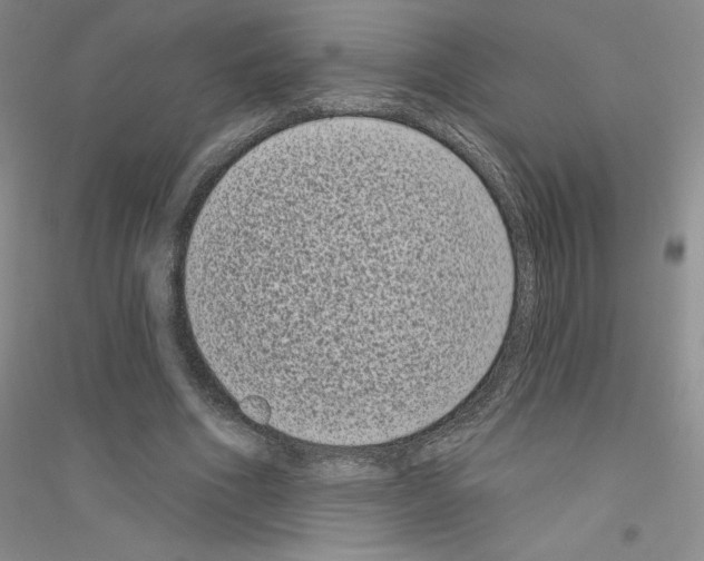 X0000116770586201001281634