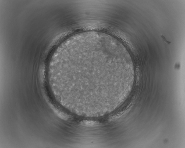 X0000116770590201001281634