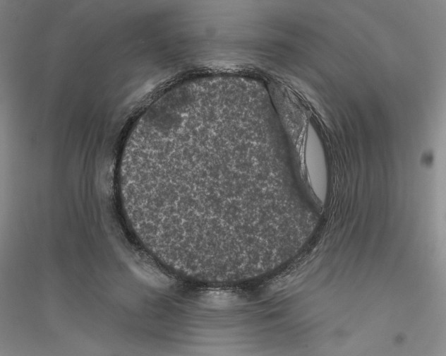 X0000116770596201001281634