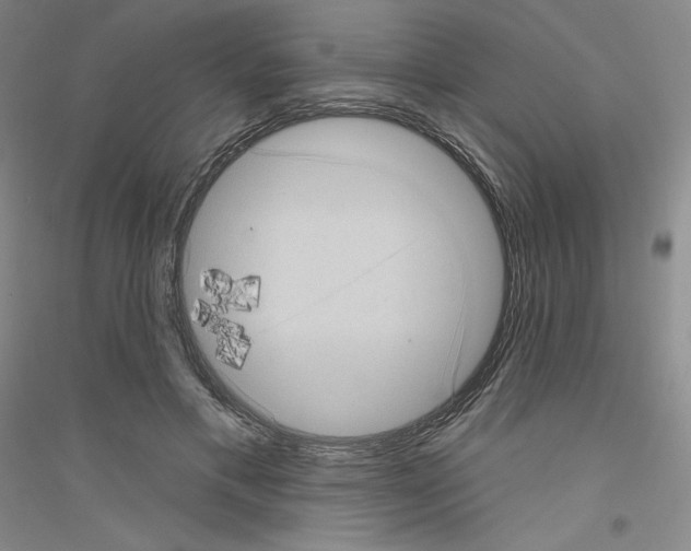 X0000116770597201001281634