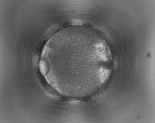 X0000116770598201001281634
