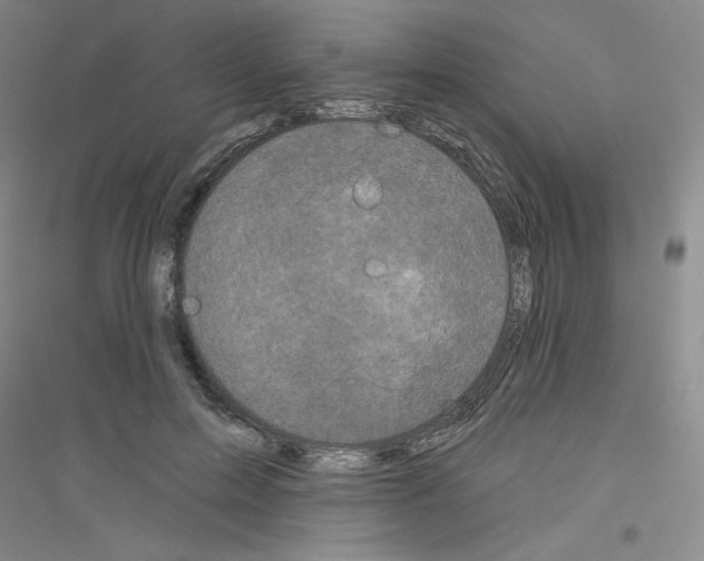 X0000116770599201001281634
