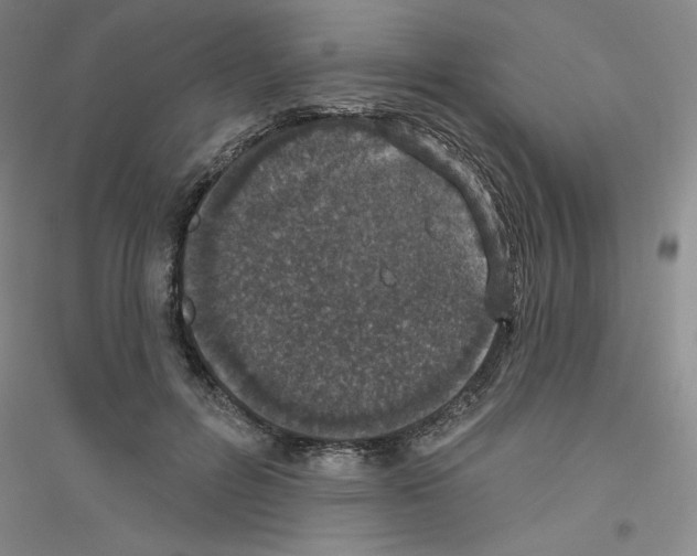 X0000116770600201001281634
