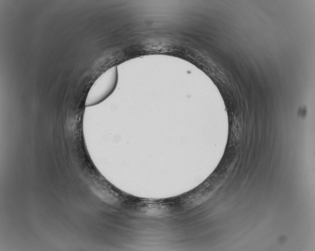 X0000116770601201001281634