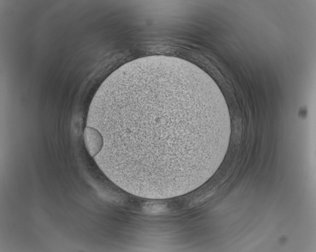 X0000116770602201001281634