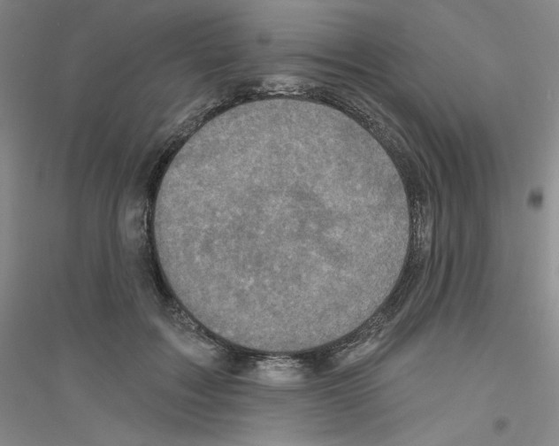 X0000116770603201001281634