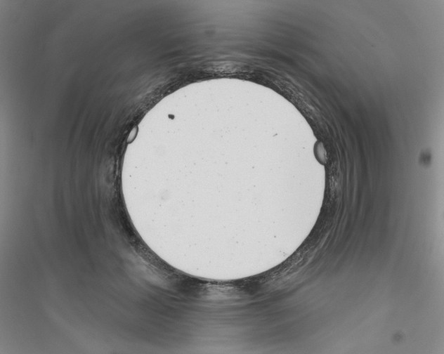 X0000116770605201001281634