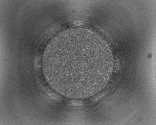 X0000116770606201001281634