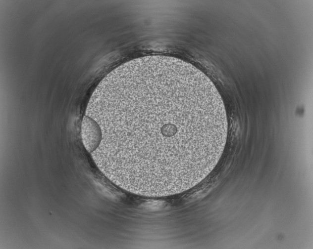 X0000116770609201001281634