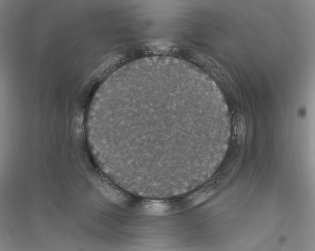 X0000116770610201001281634