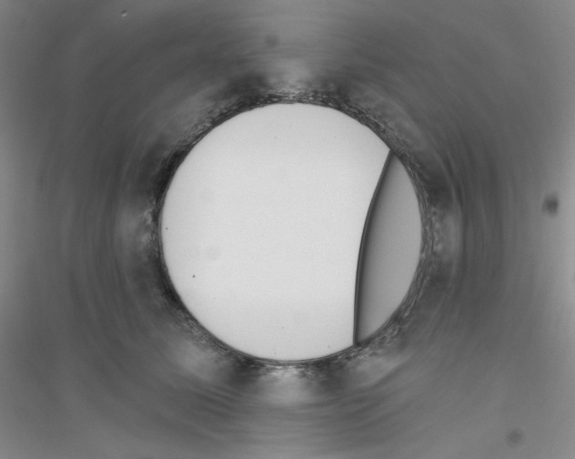 X0000116770611201001281634