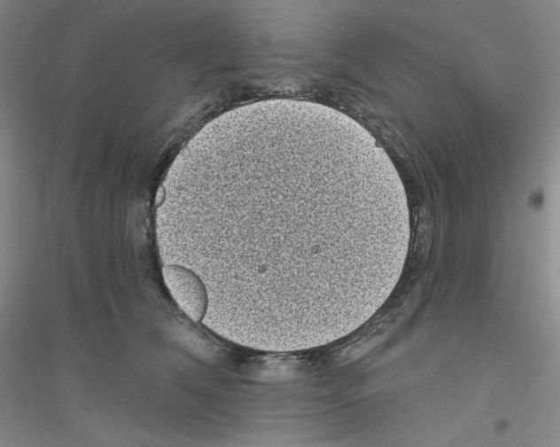 X0000116770612201001281634