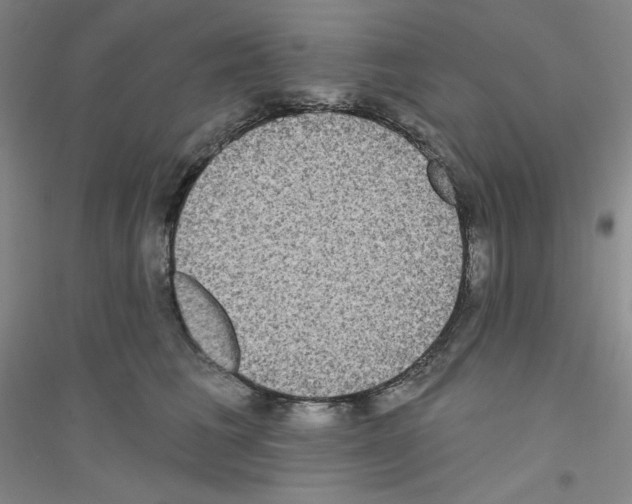 X0000116770613201001281634